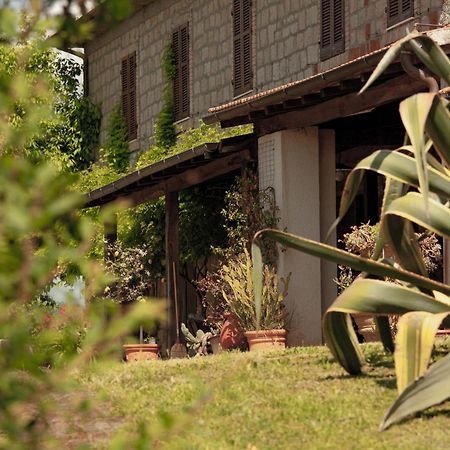 Agriturismo Bio Aia Della Colonna 萨杜勒尼亚 外观 照片
