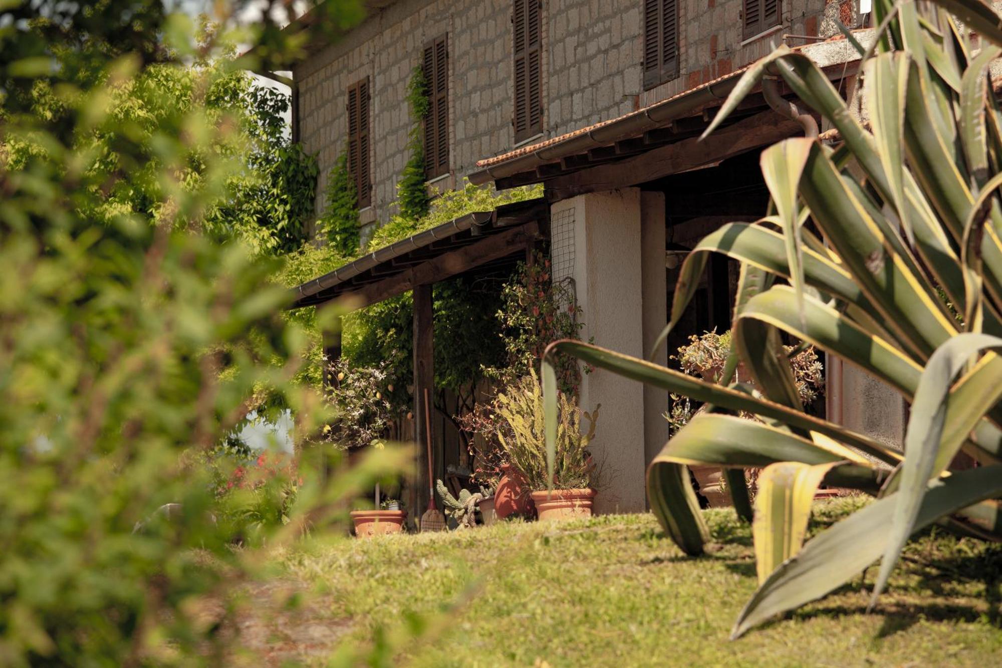 Agriturismo Bio Aia Della Colonna 萨杜勒尼亚 外观 照片